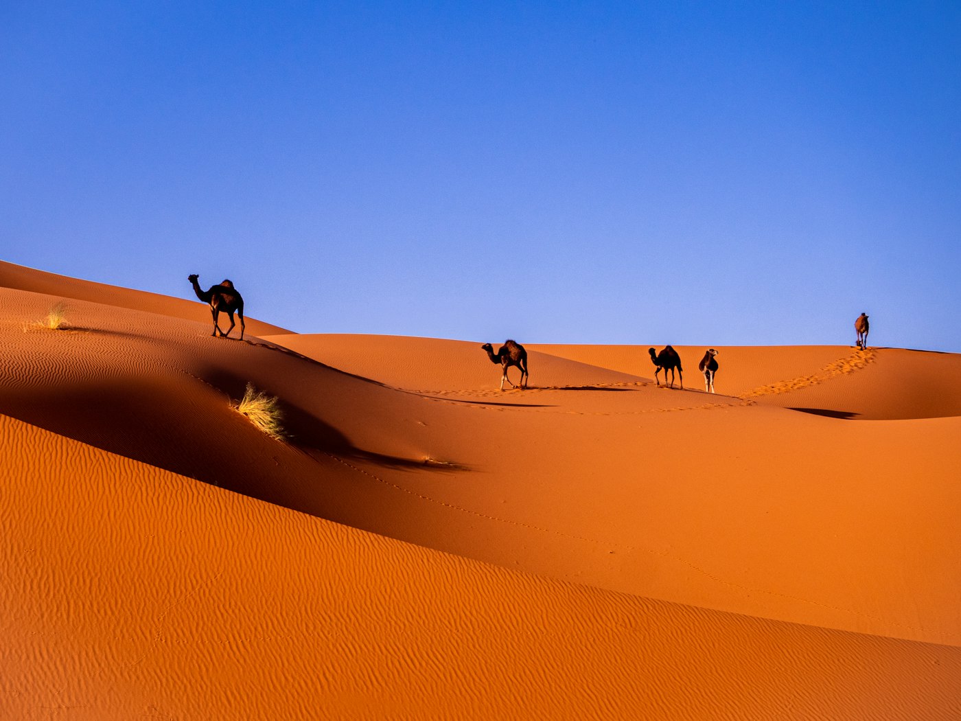 Deserto do Saara, Marrocos