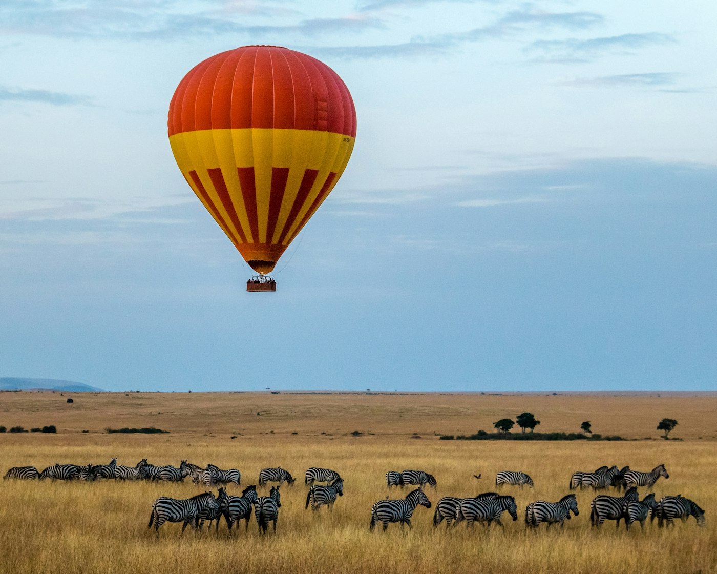 Savana africana