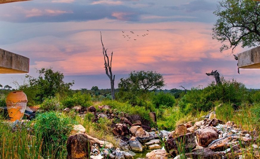 Sabi Sabi Earth Lodge